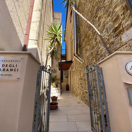 B&B Degli Aranci Palinuro Exterior photo